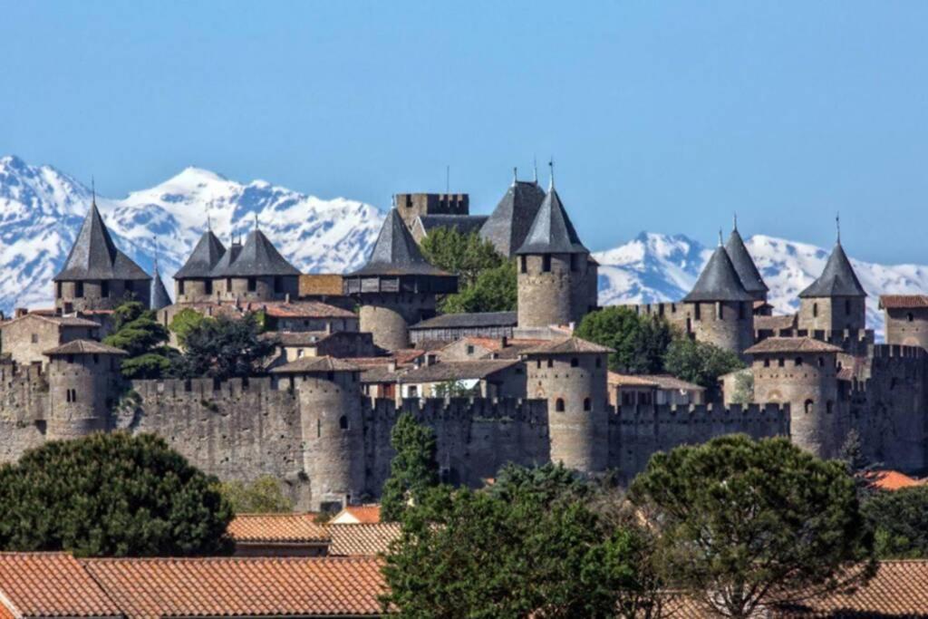 Maison spacieuse et calme près de la cité Villa Alairac Exterior foto