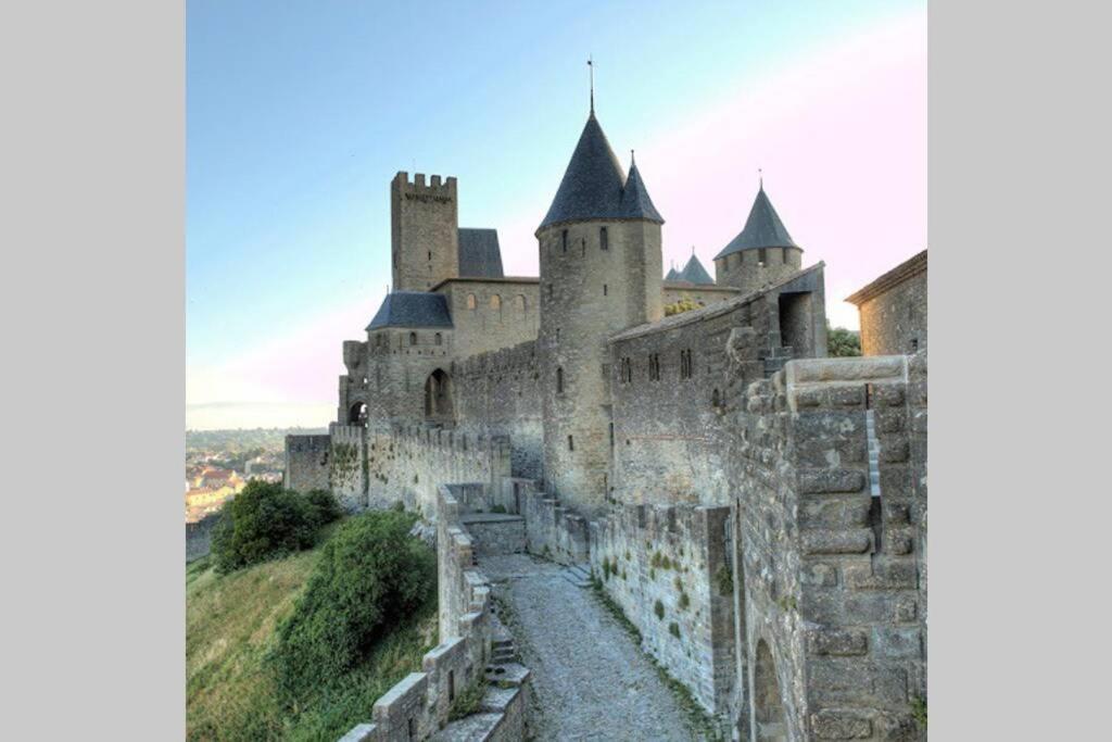 Maison spacieuse et calme près de la cité Villa Alairac Exterior foto